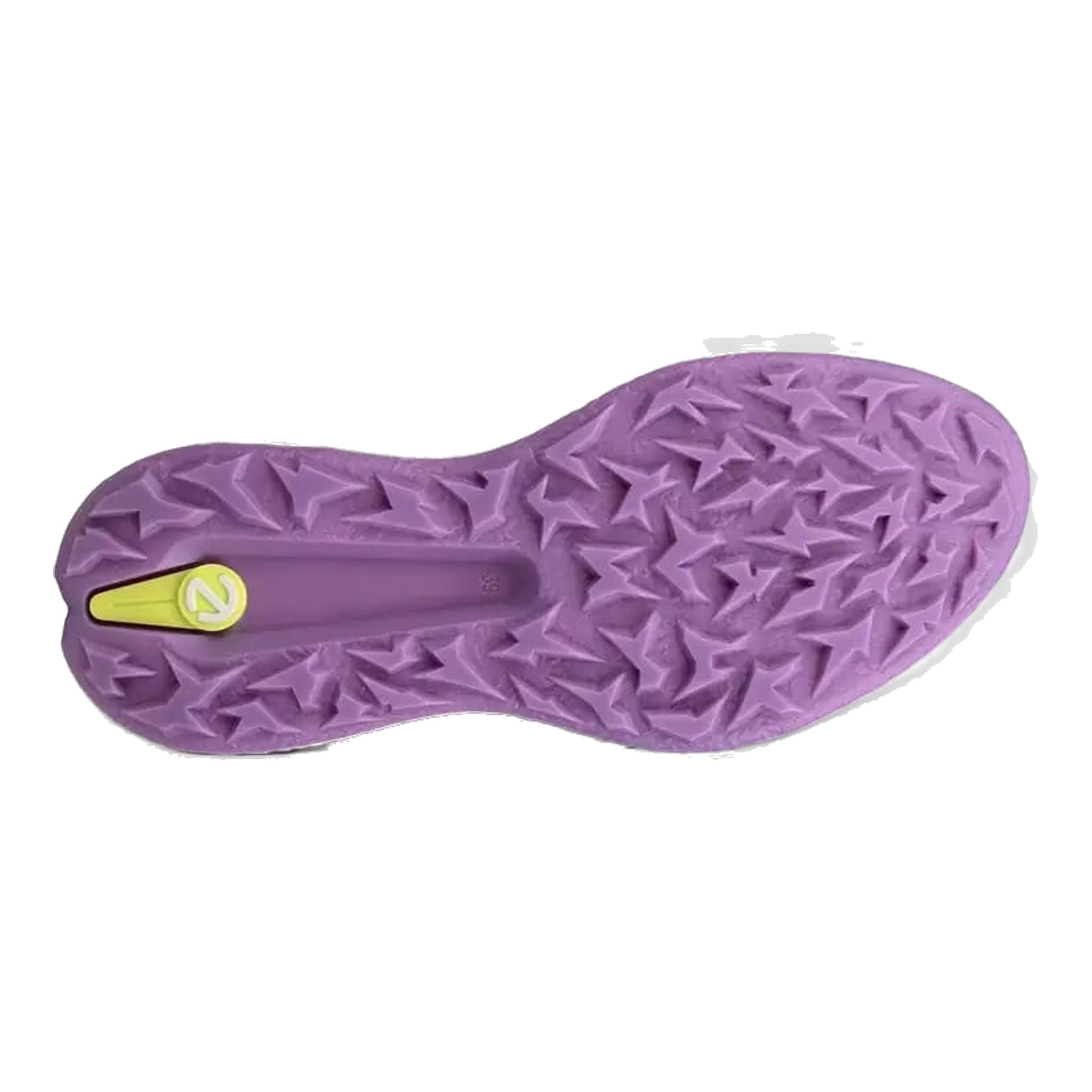 Ecco Biom H5 Golfschuhe Damen