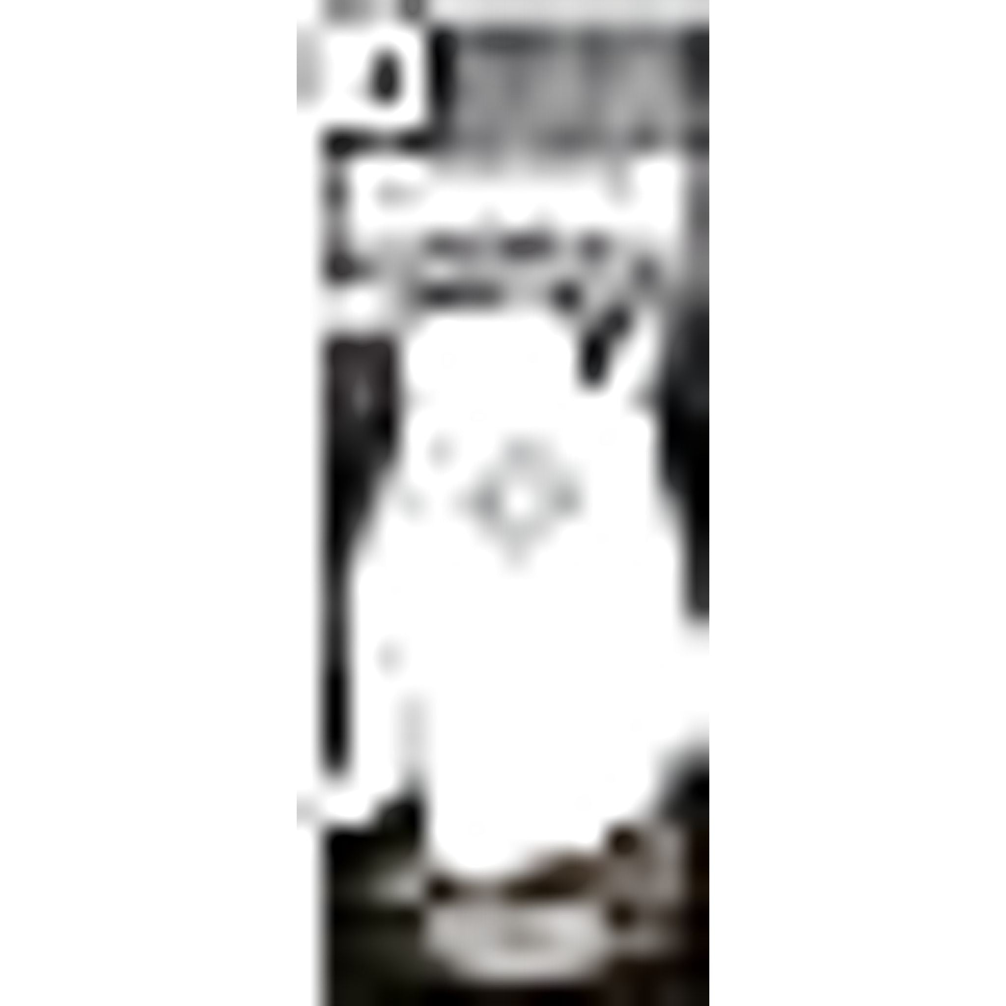 Footjoy Contour FLX Leder-Handschuh Herren