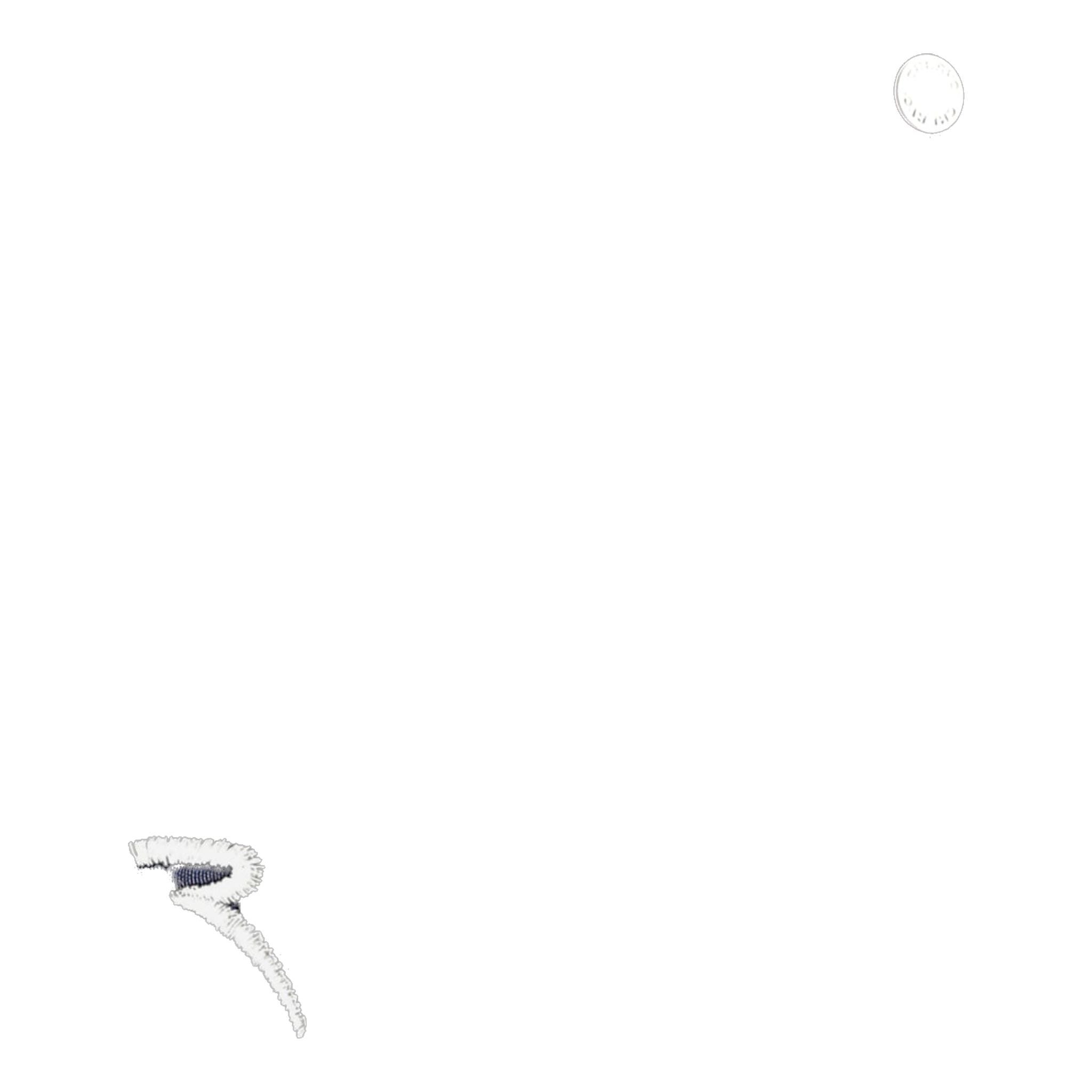 Chervo Giarin Bermuda Hose Damen
