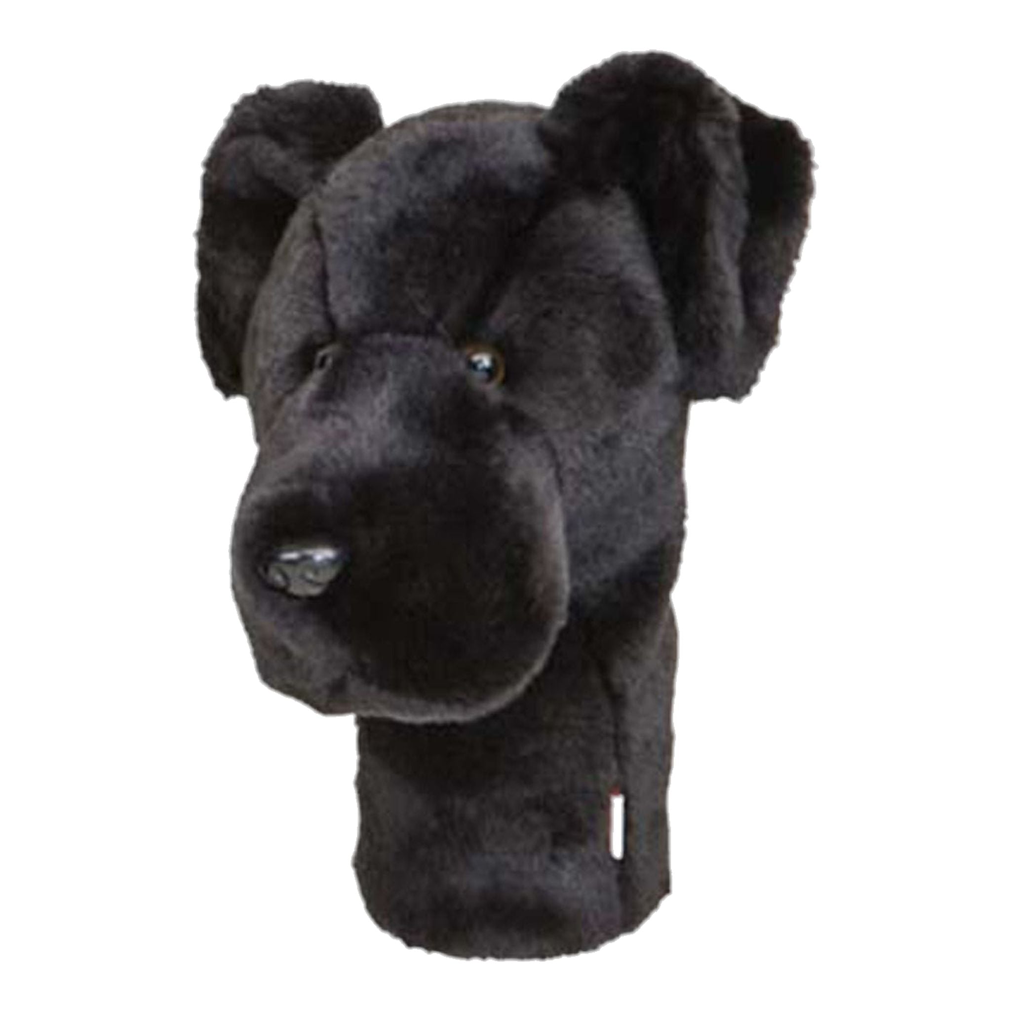 Daphne Driver Schwarzer Labrador