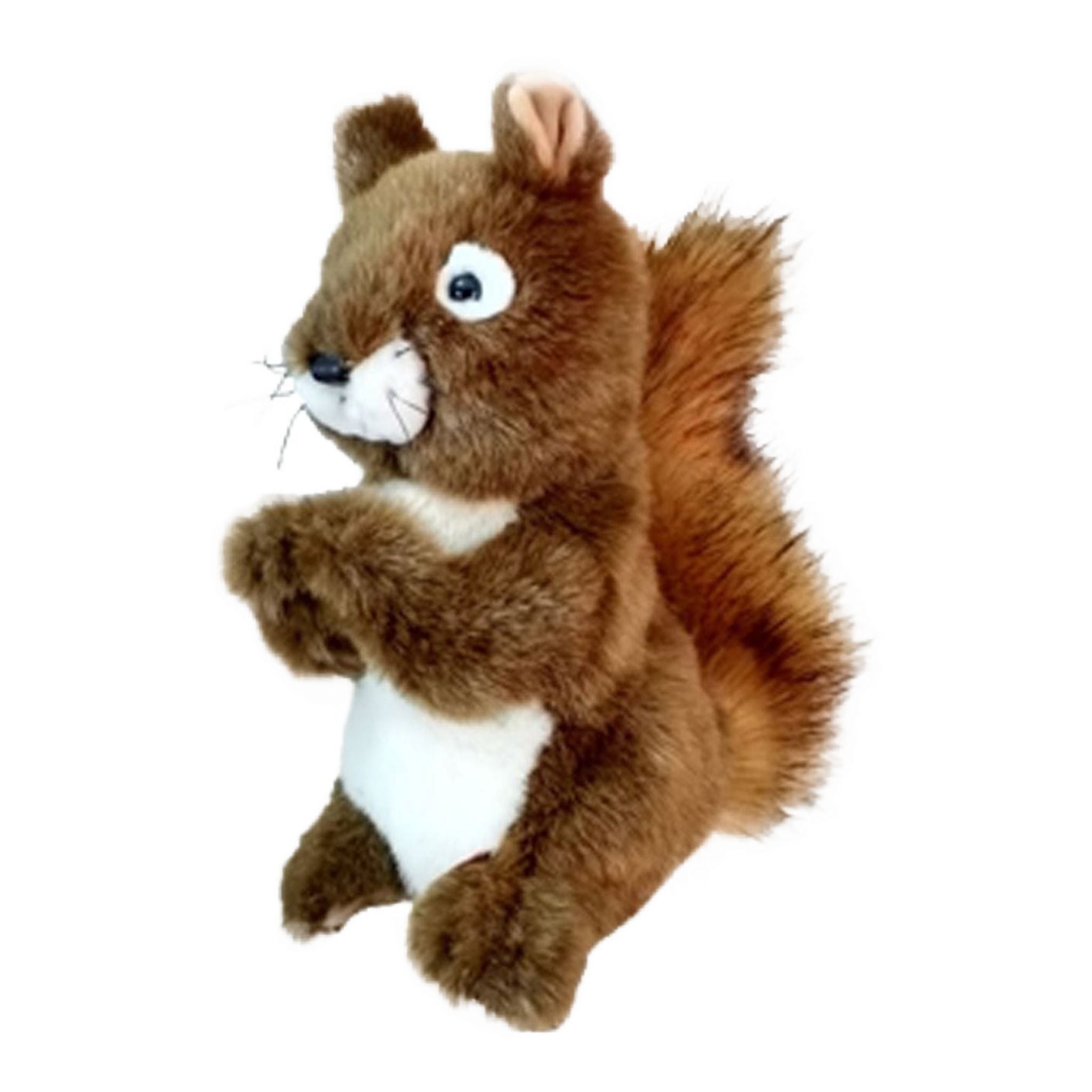 Daphne Driver Eichhörnchen