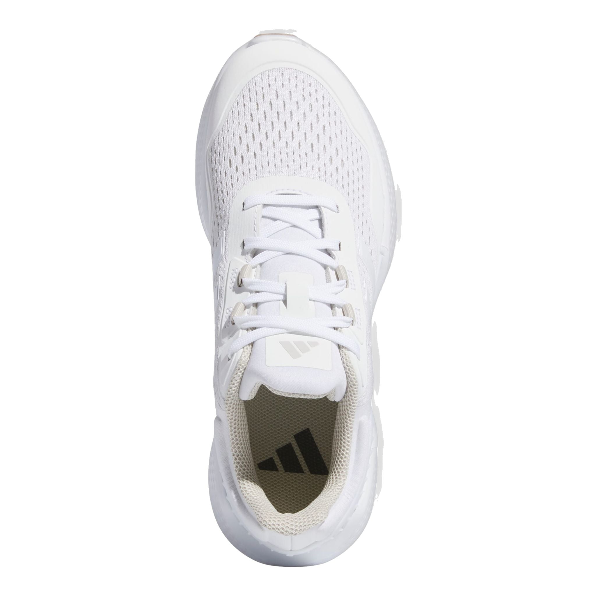 Adidas Summervent 24 Spikeless Golfschuh Damen