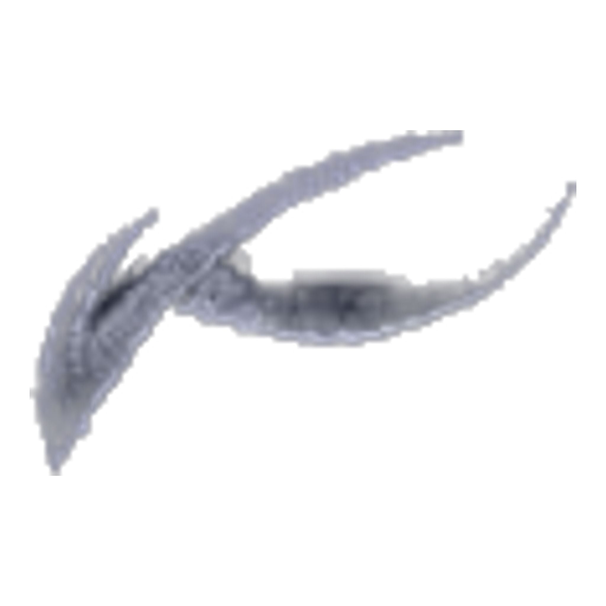 Kjus Ike Shorts Cardinal Herren