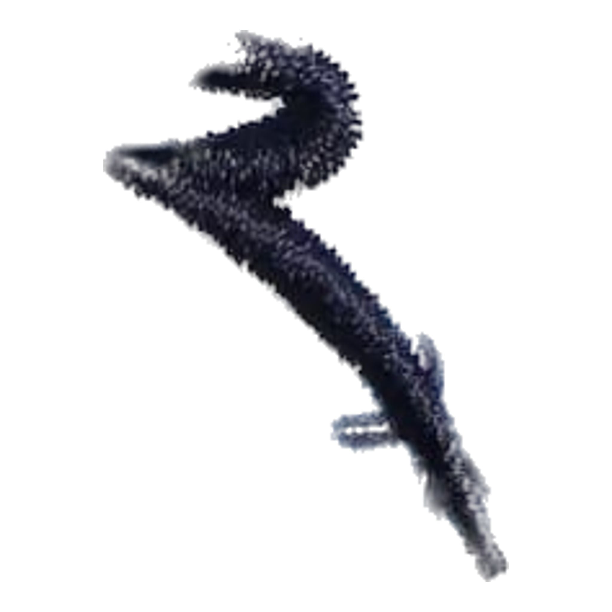 Chervo Addisabeba Polo Damen