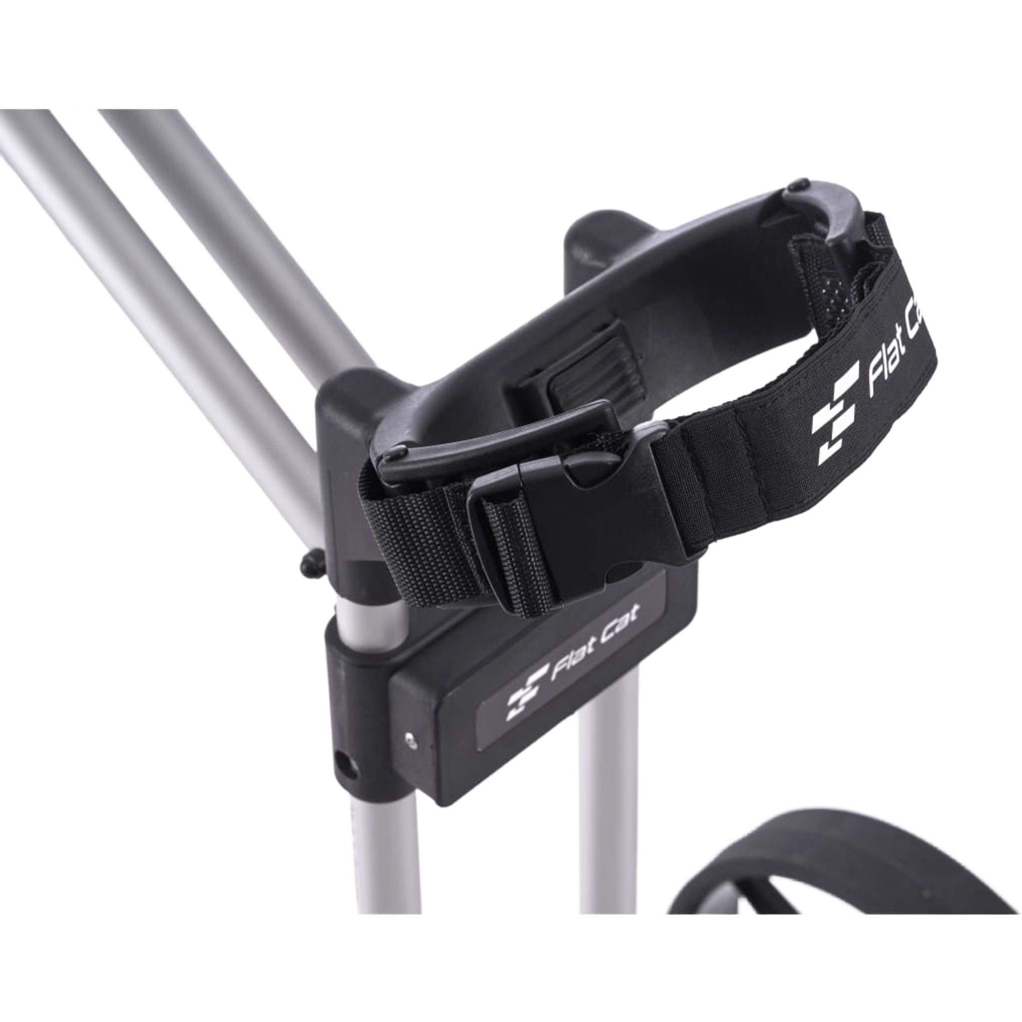 Flat Cat Flat Cat Gurt