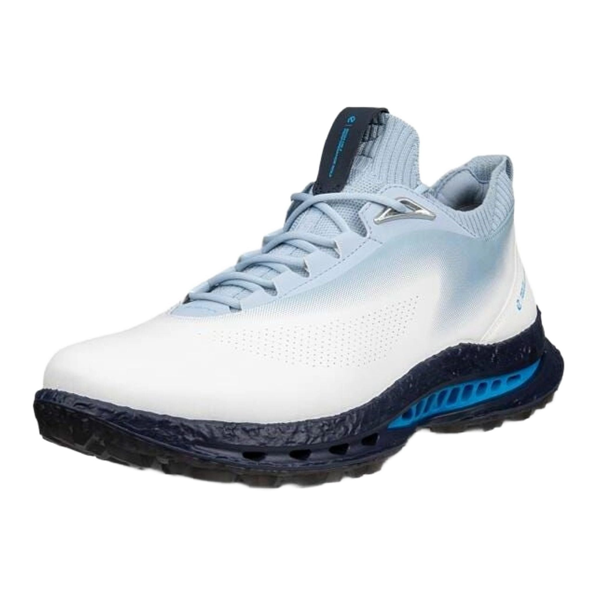 Ecco BIOM C5 Golfschuhe Herren