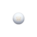 Titleist Loge Pro V1