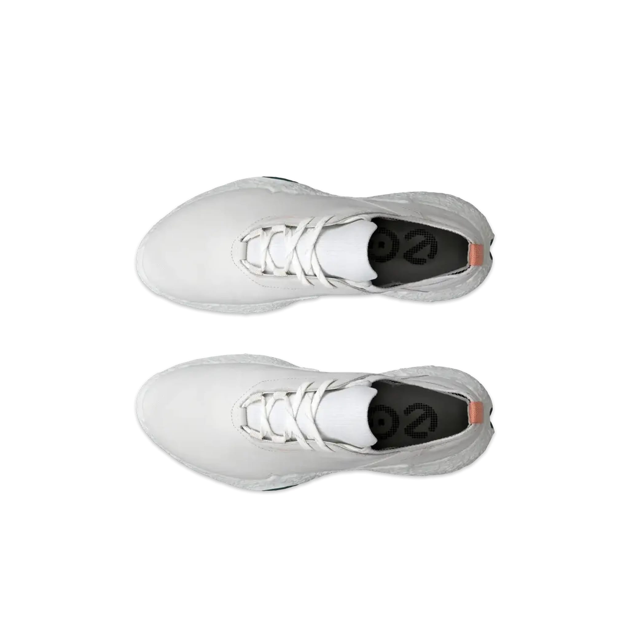 Ecco Golf Biom H5 Schuhe Herren
