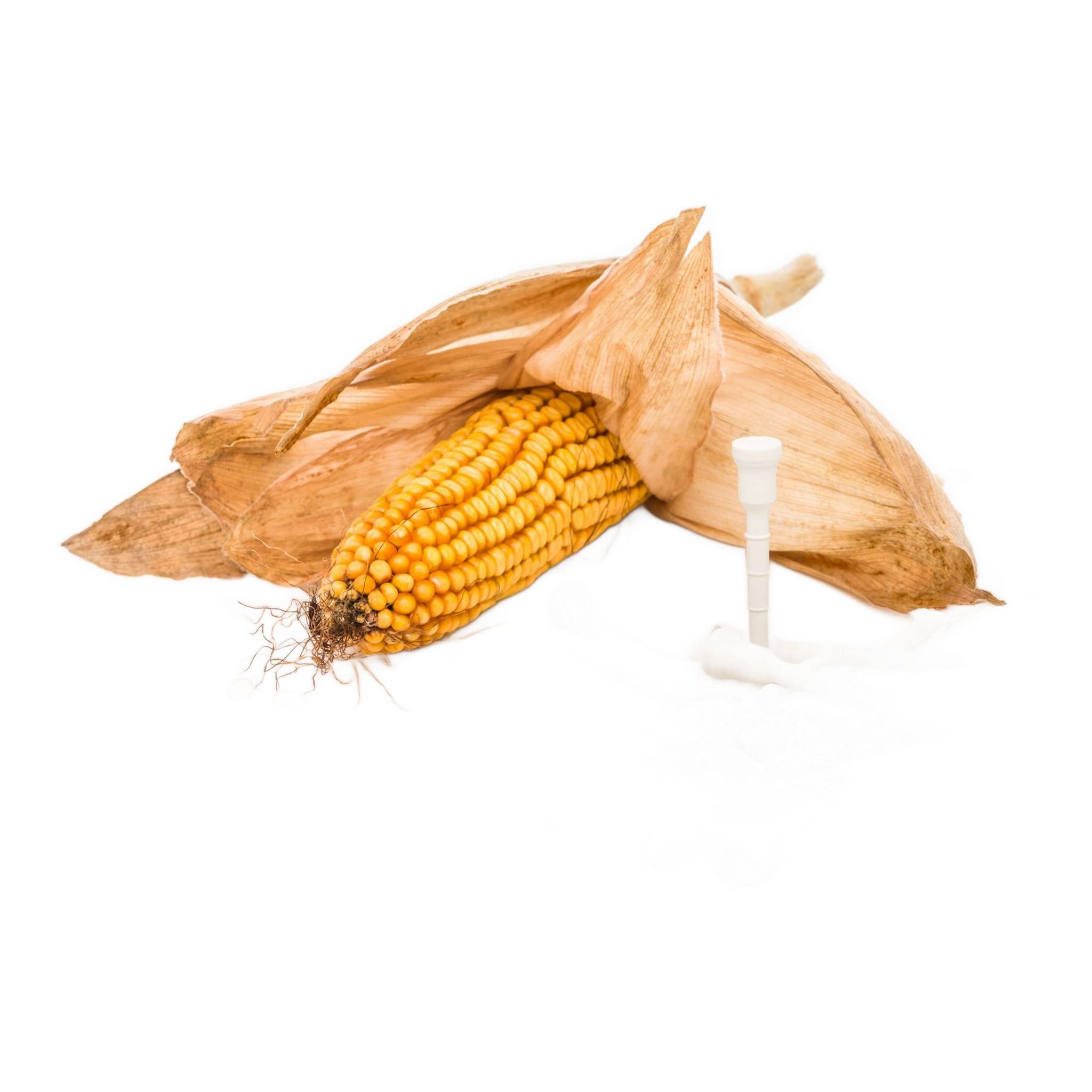 Lignum Eco 72mm Star [12Tees] Weiß