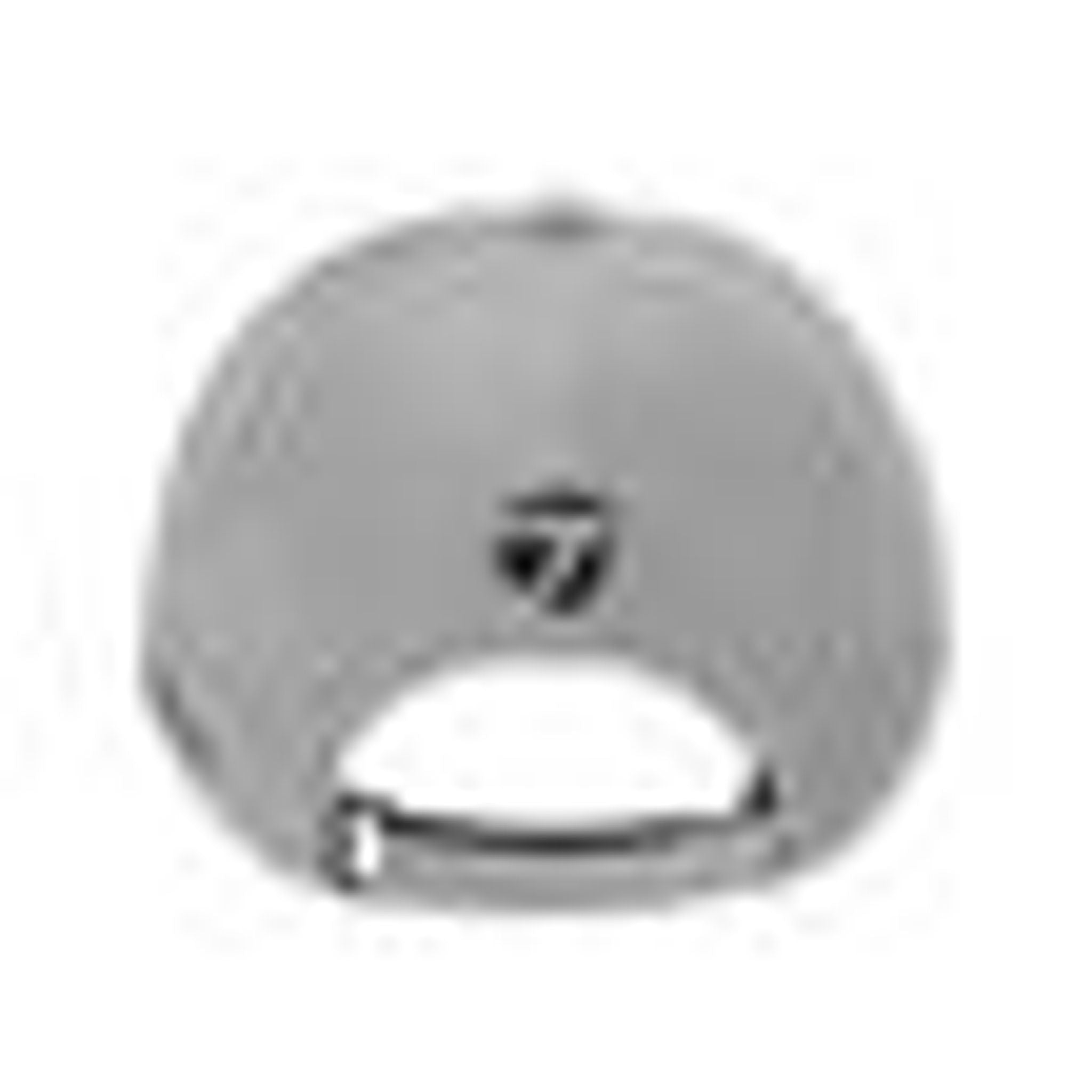 TaylorMade Tour Litetech Kappe Grau